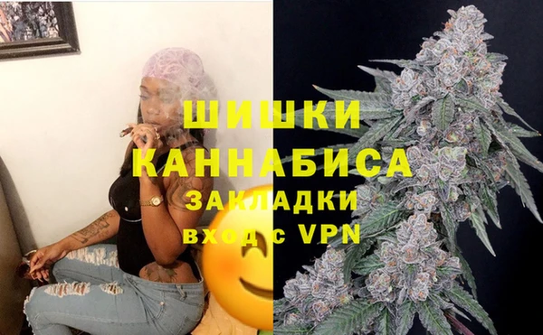 дмт Надым
