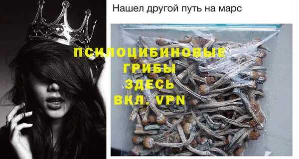 дмт Надым