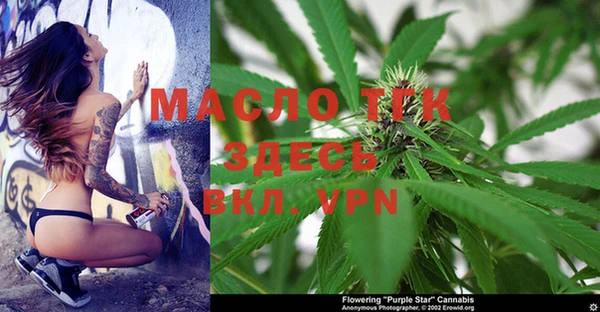 дмт Надым