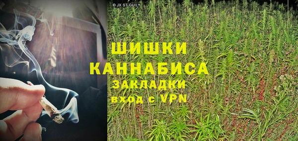дмт Надым